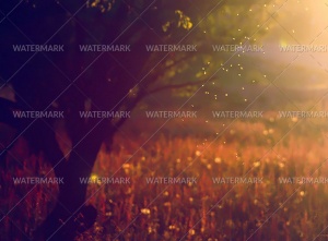 A tree with flowers in the background and sunlight coming through.