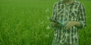 A person holding a tablet in front of a field.