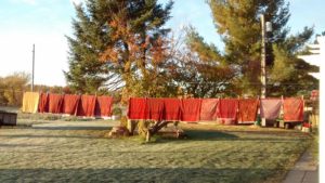 Clothes drying on a line in a yard.