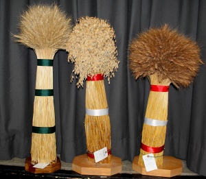 Three different types of grass are on display.