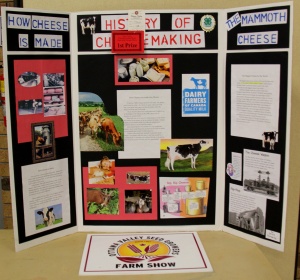 A display board with pictures and papers on it.