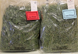 Two bags of grass are sitting on a table.