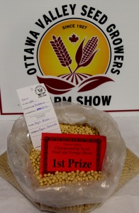 A bowl of beans on display at the ottawa growers ' show.